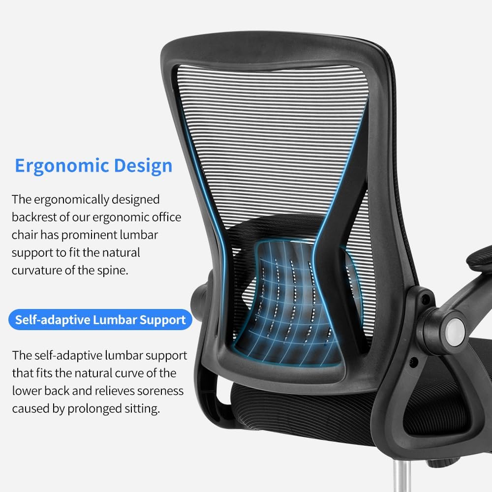 Ergonomic Office Chair