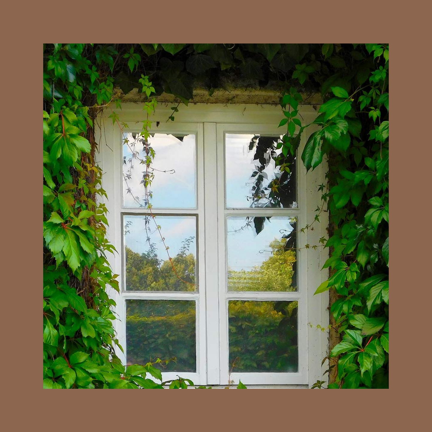 【Last Day Sale 50% Off】- 100% Privacy Window Film