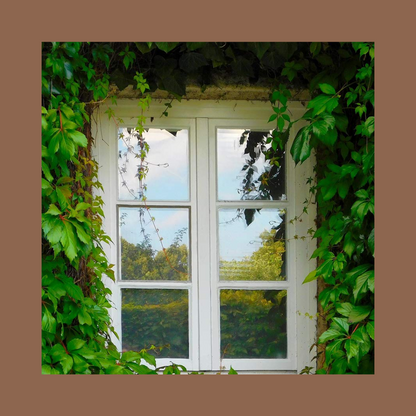 【Last Day Sale 50% Off】- 100% Privacy Window Film